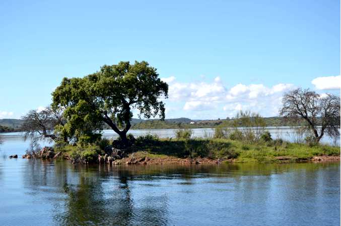 alquevatours-piquenique-na-ilha-em-alqueva