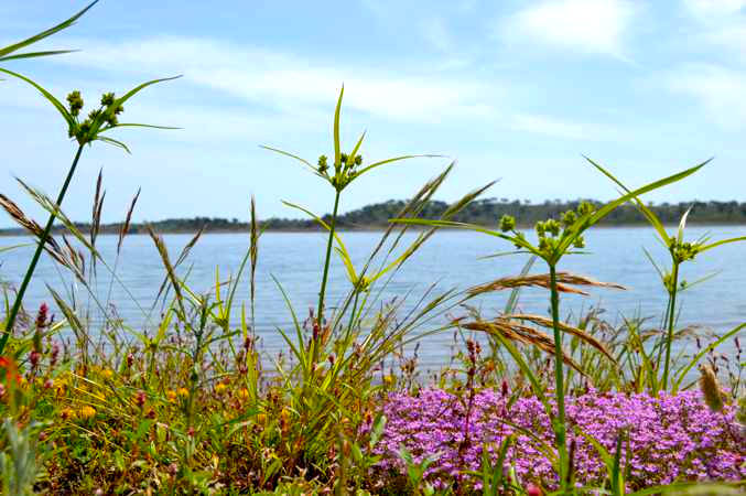 privado-piquenique-na-ilha-alquevatours-flores-alqueva